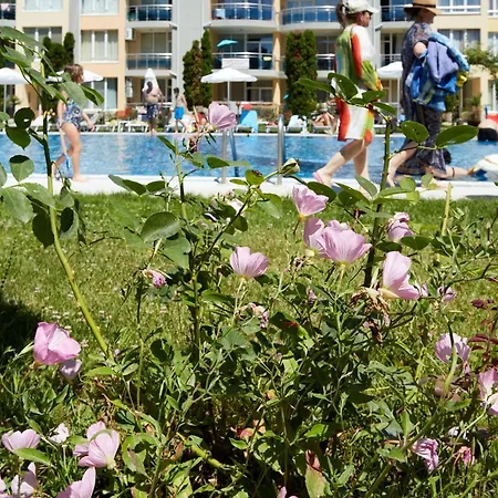 Luxury First Line With Pool By The Sea Апартаменты *